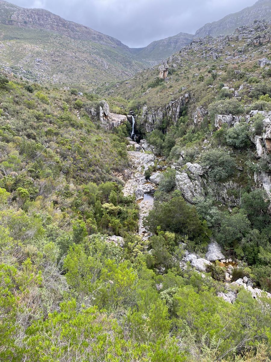 MUFASA fieldwork