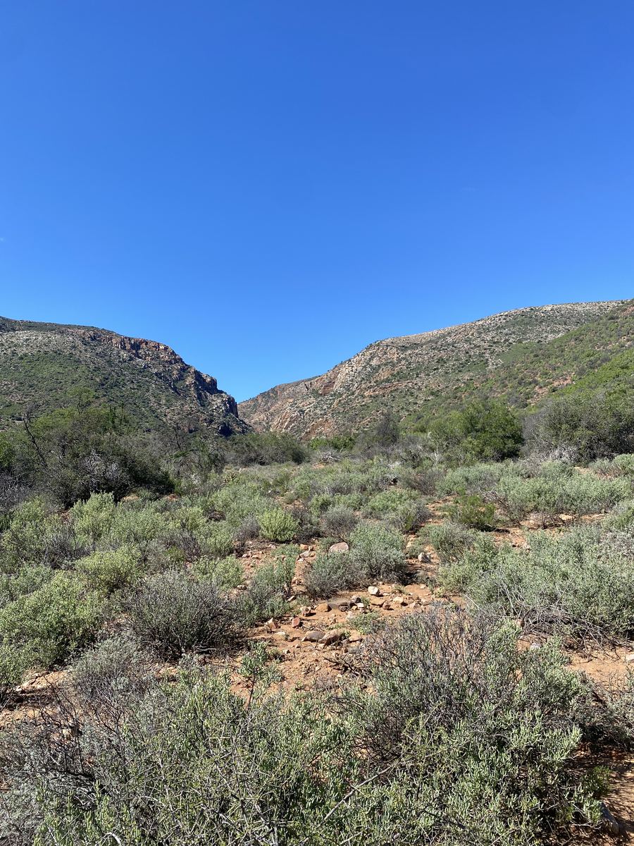 MUFASA fieldwork