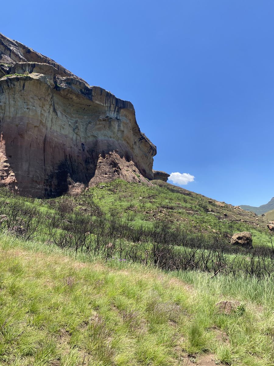 MUFASA fieldwork