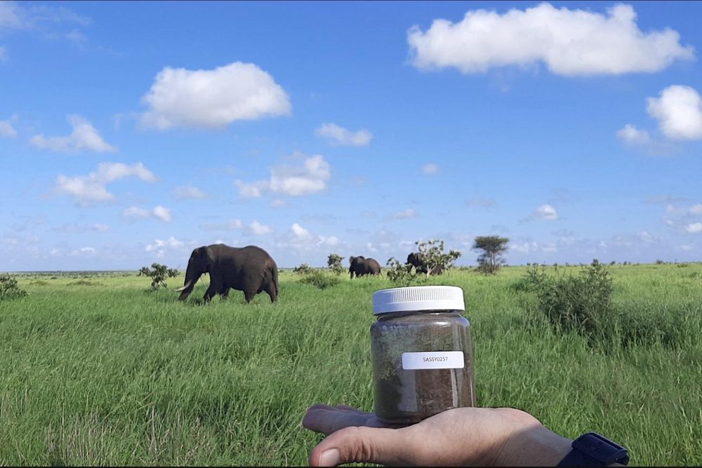 SASSY kicks off 2025 sampling in the Kruger National Park