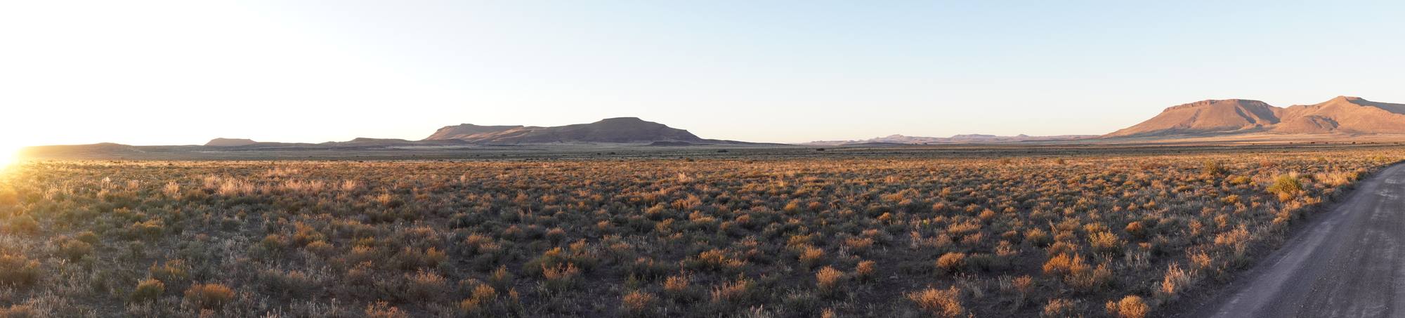 Panorama of a MUFASA field site
